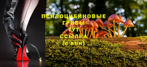 синтетический гашиш Вяземский