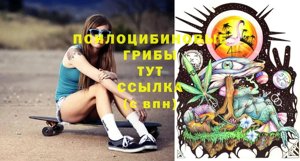 синтетический гашиш Вяземский