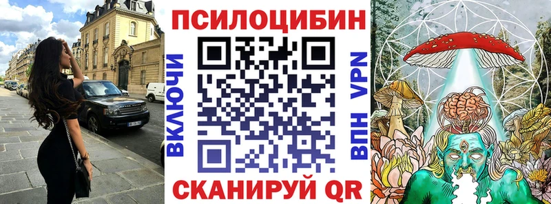 Псилоцибиновые грибы Psilocybine cubensis  где купить наркоту  Чулым 
